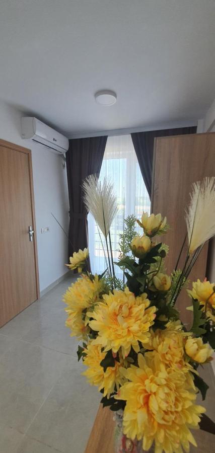 Hotel Ema Vama Veche Exteriér fotografie